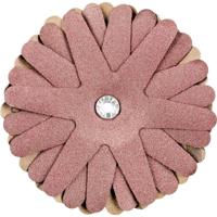 PFERD TOOLS 42732166 Schuurster Diameter 100 mm 10 stuk(s) - thumbnail