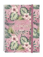 Viooltje blauw - thumbnail