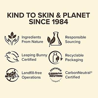 Burt&apos;s Bees Conditioning Lip Scrub - thumbnail