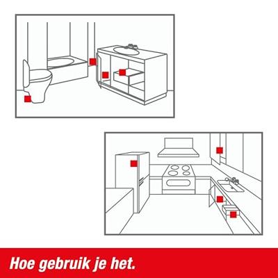 KAKKERLAKKENVAL | 2 stuks