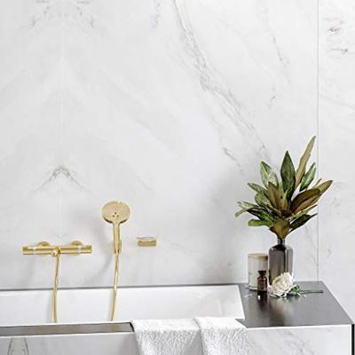 Hansgrohe Opbouw Badthermostaat Ecostat Comfort Gepolijst Goud
