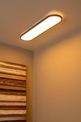 Lucide ELLY - Plafonnière - LED Dimb. - CCT - 1x36W 2700K/4000K - Opaal - Essential