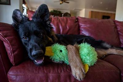 Multipet Duckworth Pluche gevulde hond speelgoed, diverse kleuren, (Pack van 1)