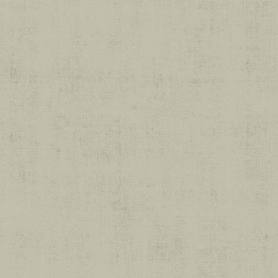 Dutch Wallcoverings Behang Design Uni Beige 12030