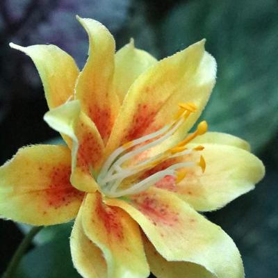 Lelietak Kunstbloem deluxe Geel 70cm