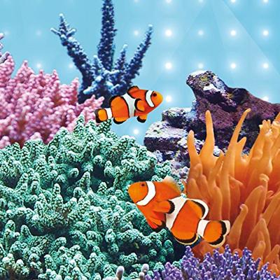 Juwel LED lamp Blue 19 Watt 742 mm - LED Tube Juwel Gebr. de Boon - Gebr de boon Juwel LED lamp Blue 19 Watt 742 mm - LED Tube Juwel Gebr. de Boon - Gebr de boon