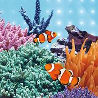 Juwel LED lamp Blue 19 Watt 742 mm - LED Tube Juwel Gebr. de Boon - Gebr de boon - thumbnail