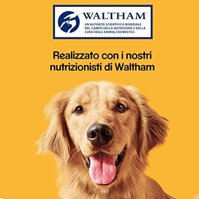 Pedigree dentastix maxi actiepack