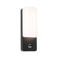 Paulmann Bonnie PIR 94851 LED-buitenlamp (wand) LED 8.5 W Antraciet - thumbnail