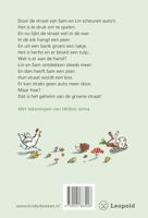 WPG Uitgevers Het geheim van de groene straat (avi-e3) - thumbnail