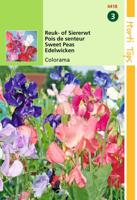 Zaden Lathyrus Reuk- of Siererwt Colorama gemengd Hortitops - Hortitops - thumbnail