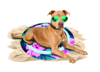 Coolpets Tropical Premium koelmat flower hond Diameter: 65cm - thumbnail