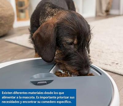 TRIXIE VACHTVERZORGINGSHANDSCHOEN 24X18 CM 3 ST TRIXIE VACHTVERZORGINGSHANDSCHOEN 24X18 CM 3 ST