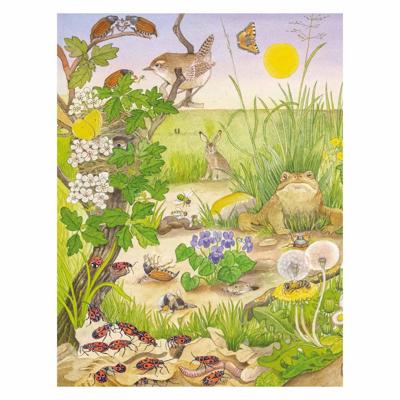 Kijk- en zoekboek - Kriebeldiertjes