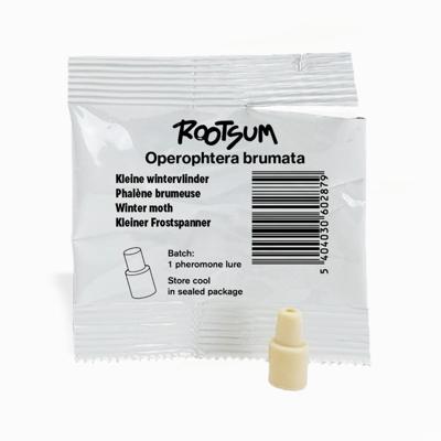KLEINE WINTERVLINDER FEROMOON | Operophtera brumata