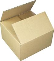 Raadhuis RD-351126-10 Verzenddoos 200x200x110mm 10 Stuks - thumbnail