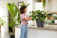 Gieter brussels 1,8l sorbet groen elho - Elho - thumbnail