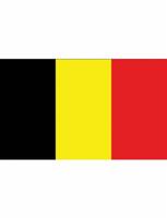 Vlag Argentinië - 90x150 cm - thumbnail