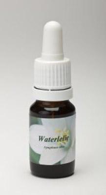 Waterlelie
