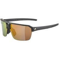 Alpina swift hr - sports glasses - thumbnail