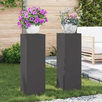 Plantenstandaard 2 pcs Zwart 24 x 24 x 75 cm Staal - thumbnail