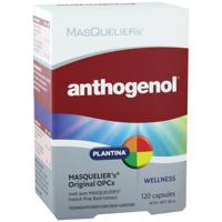 Anthogenol 120 Capsules - thumbnail