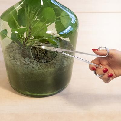 Esschert Design terrarium schaar
