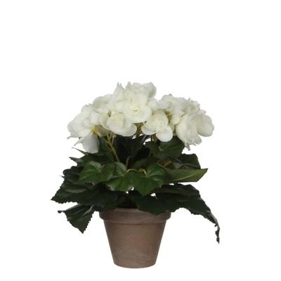 Mica Decorations kunstplant begonia 25cm wit