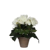 Mica Decorations kunstplant begonia 25cm wit - thumbnail