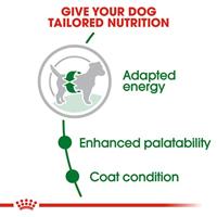 Royal Canin Mini Adult hondenvoer 2 kg - thumbnail