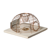 Luna Muizenval Korf - thumbnail