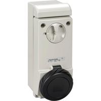 Schneider Electric 83098 83098 CEE-wandcontactdoos 32 A 500 V 1 stuk(s) - thumbnail