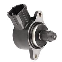 Hulst Piramidevormig - thumbnail