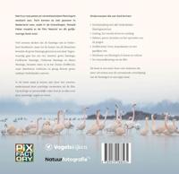 Ronald Faber - Nebula - thumbnail