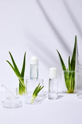 Nivea Naturally Good Bio Aloë Vera Deodorant Roll-On
