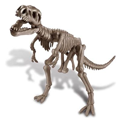 4M graaf je eigen dinosaurus op de T rex kidzlabs - thumbnail