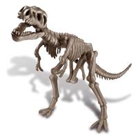 4M graaf je eigen dinosaurus op de T rex kidzlabs - thumbnail