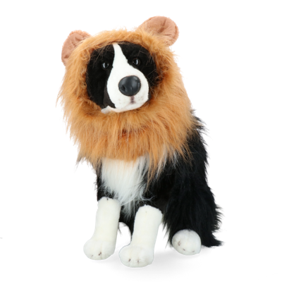 Oranje Manen Tooi M Oranje Manen Tooi M