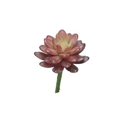 Kunst Sedum pick bordeaux - 16 cm Kunsttakken Nova Nature - Nova nature