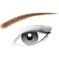 Loreal Color riche brow artist 303 deep brown (1 st) - thumbnail