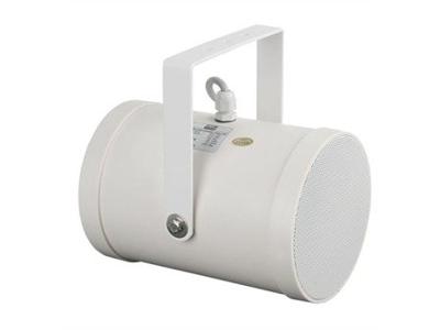 DAP PSB-510P 10 Watt 5 inch bidirectionele 100V luidspreker