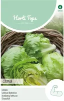 Zaden IJssla Calmar (vh Raptor) Hortitops - Hortitops - thumbnail