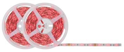 Paulmann SimpLED 78980 LED-strip complete set Met connector (male) 12 V 10 m RGB 1 stuk(s) Paulmann SimpLED 78980 LED-strip complete set Met connector (male) 12 V 10 m RGB 1 stuk(s)