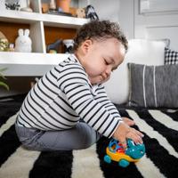 Baby Einstein Sensorisch speelgoed (Schildpad) - thumbnail