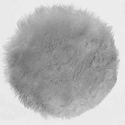 Bosch Accessories 1609200245 Lamswollen schijf, 125 mm Diameter 125 mm 1 stuk(s)