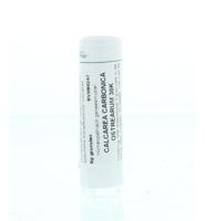 Homeoden Heel Calcarea carbonica ostrearum 30K 6 Gram - thumbnail