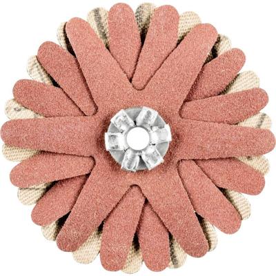 PFERD TOOLS 42732070 Schuurster Diameter 50 mm 10 stuk(s)