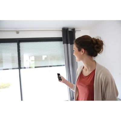 DIO -verbonden thuisset van 2 modules voor roller -sluit -IDI 1.0