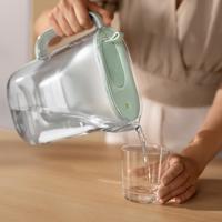 Filter voor Kruik met Filter Brita MAXTRA Pro - thumbnail