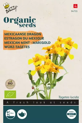 Zaden Organic Tagetes Lucida Mexicaanse dragon (BIO) Buzzy - Buzzy